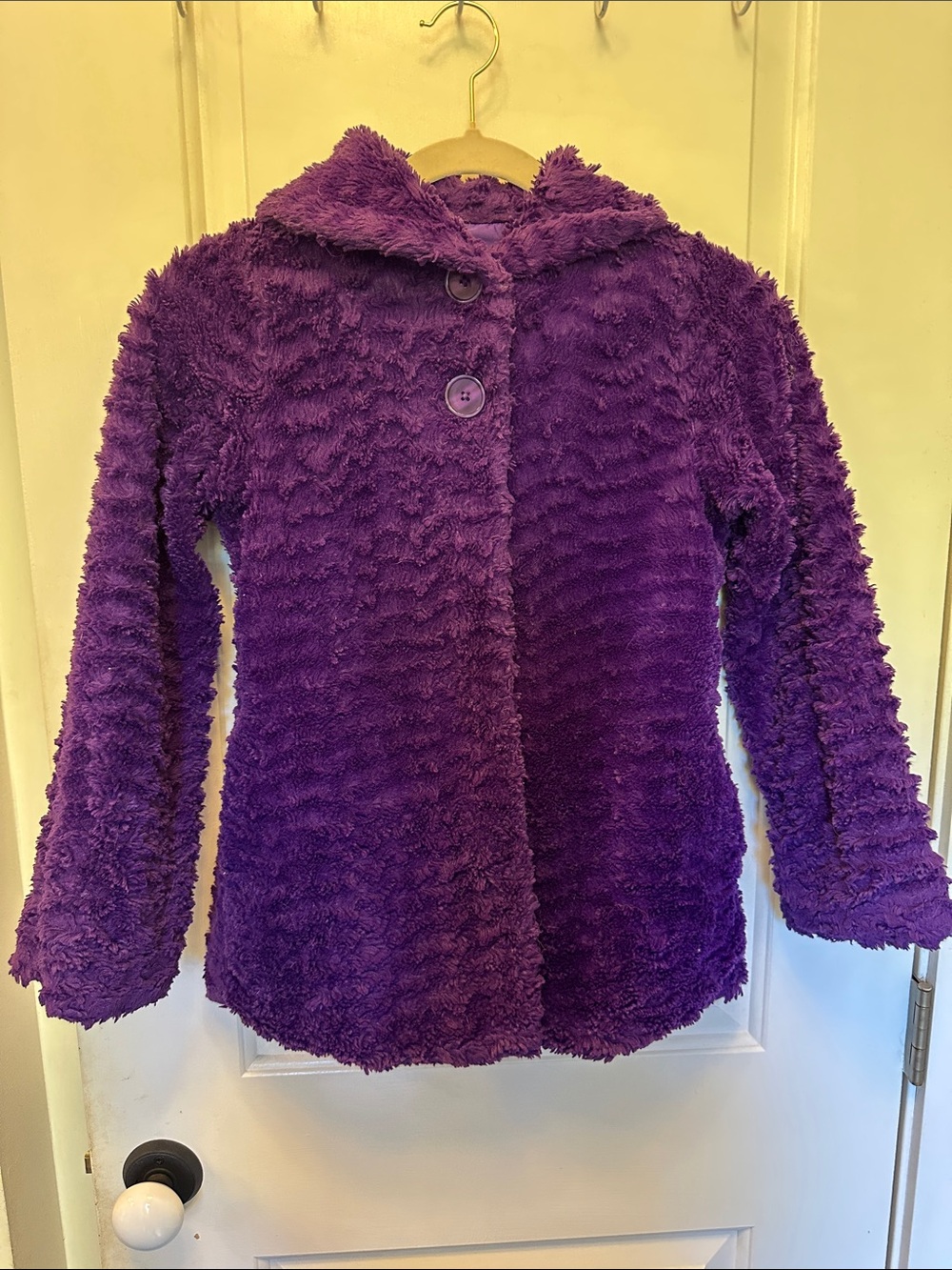 Patagonia Plush Collared Fleece Jacket in Purple
